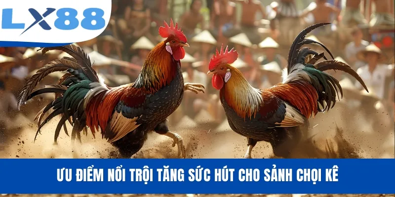 Ưu điểm nổi trội tăng sức hút cho sảnh chọi kê